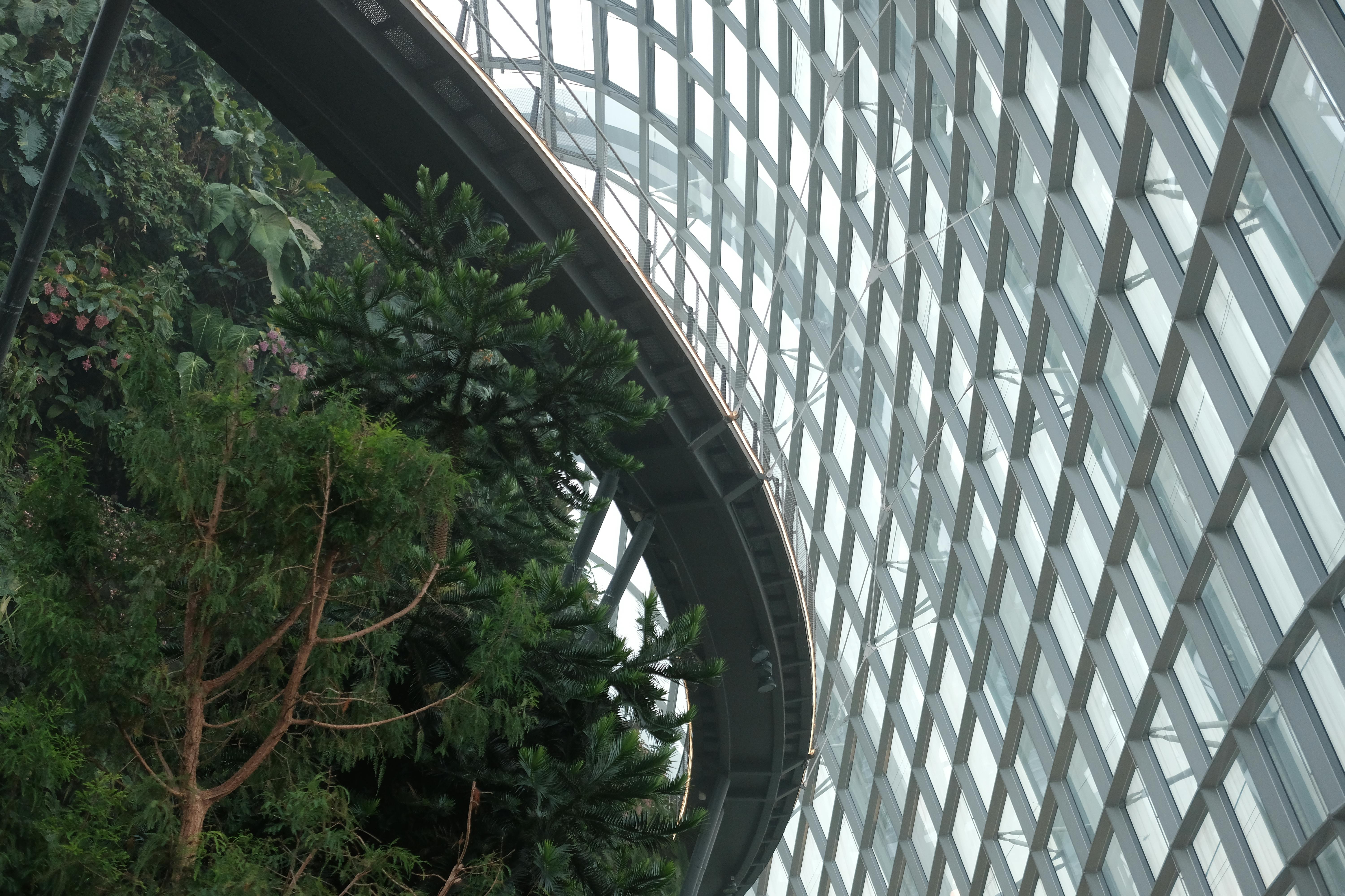 Lush greenery meets modern architecture at Singapore's Gardens by the Bay.