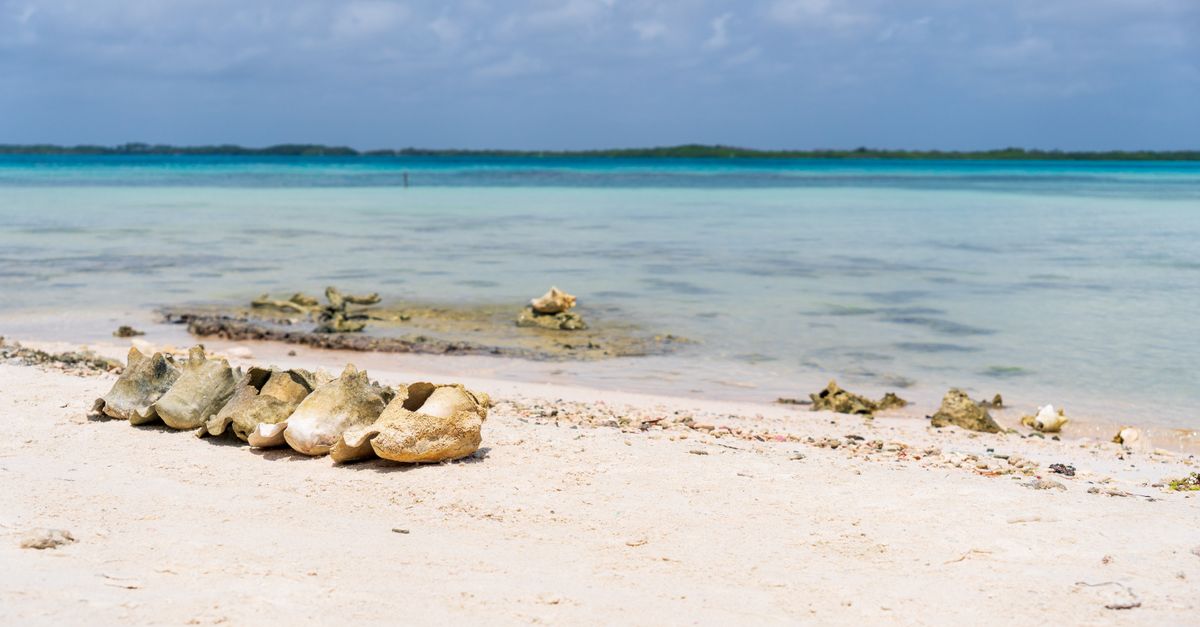 Turks and Caicos Islands — Caribbean destination