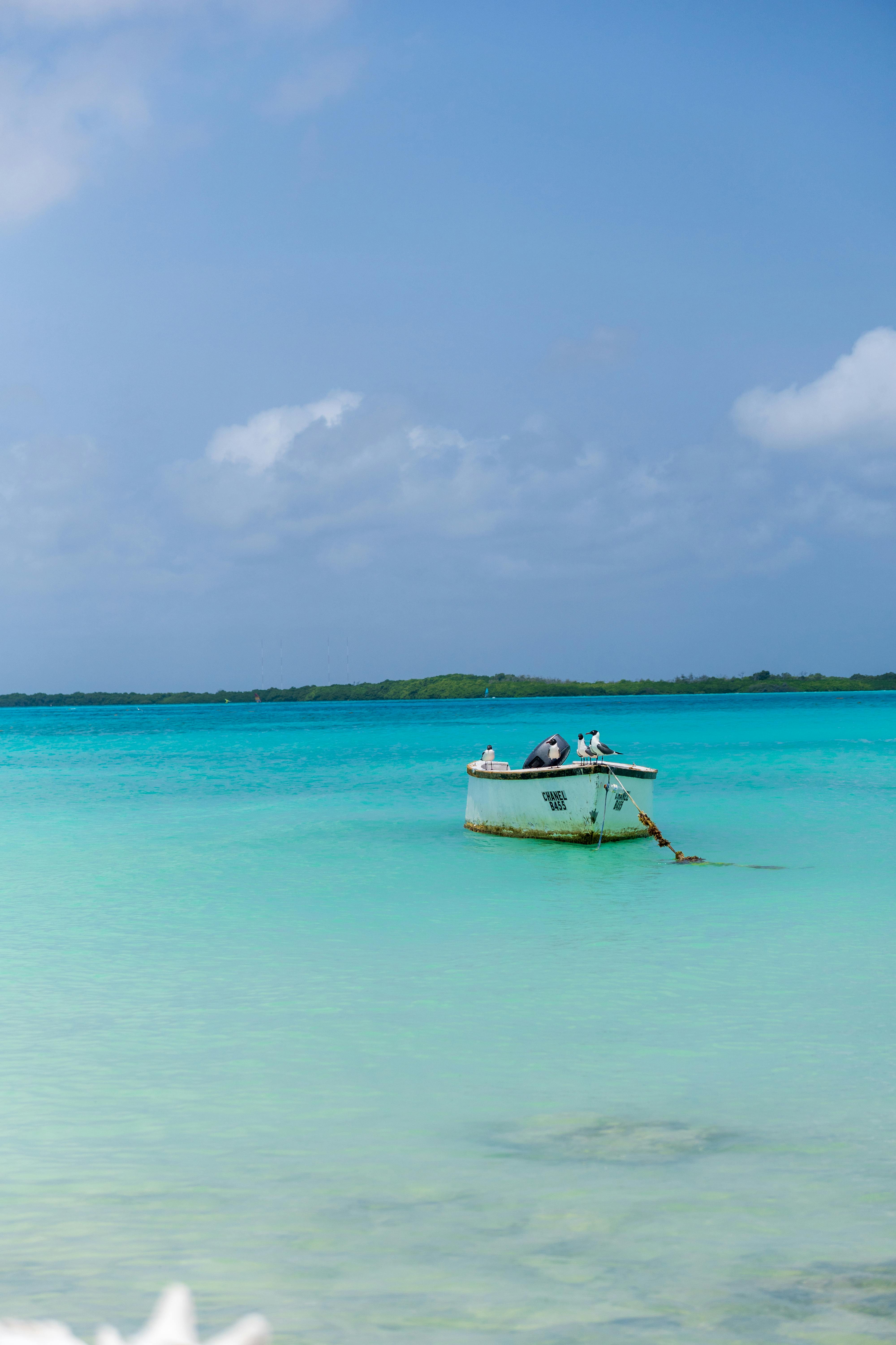 ¿Cómo se entiende la identidad caribeña en Honduras y dónde se vive con más fuerza?