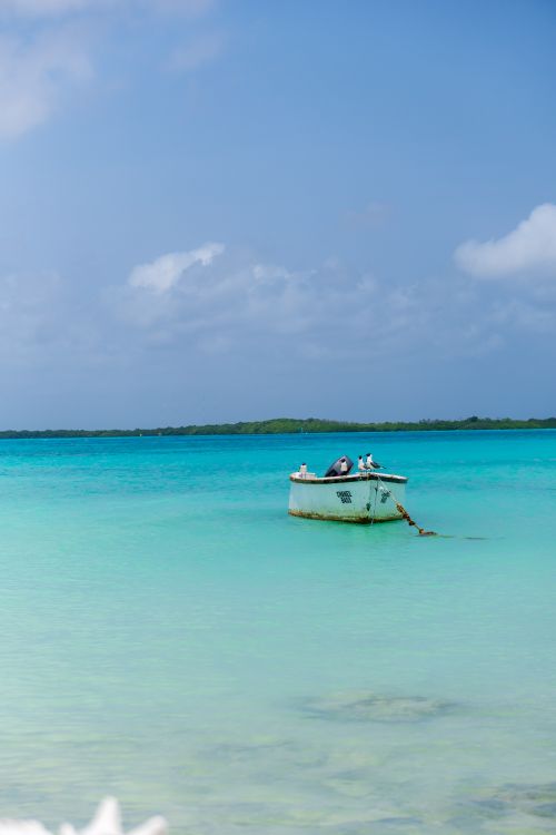 Free Idyllic scene of a boat anchored in azure waters of Bonaire, surrounded by serene Caribbean beauty. Stock Photo