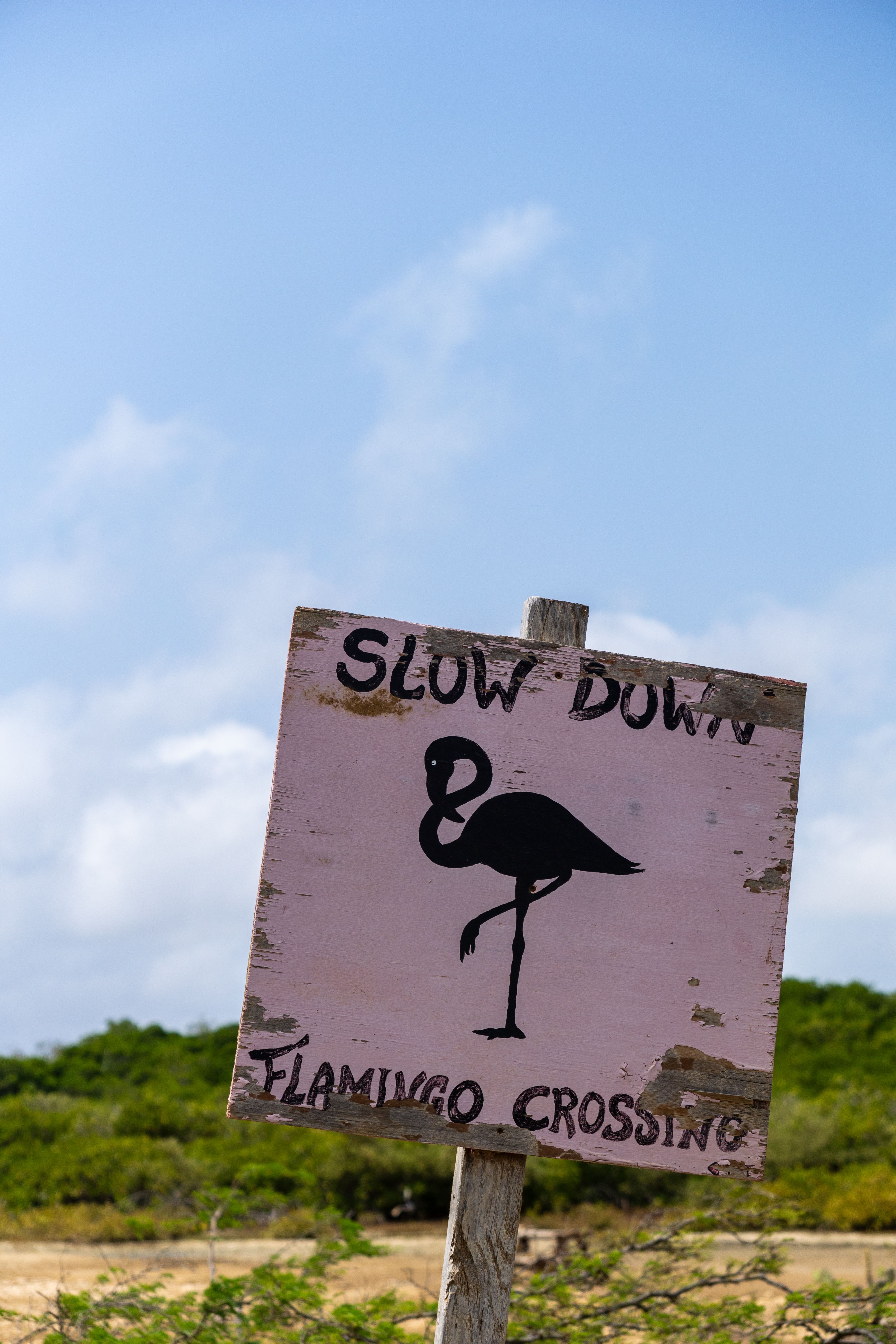 Flamingo Crossing Sign in Bonaire's Scenic Landscape · Free Stock Photo