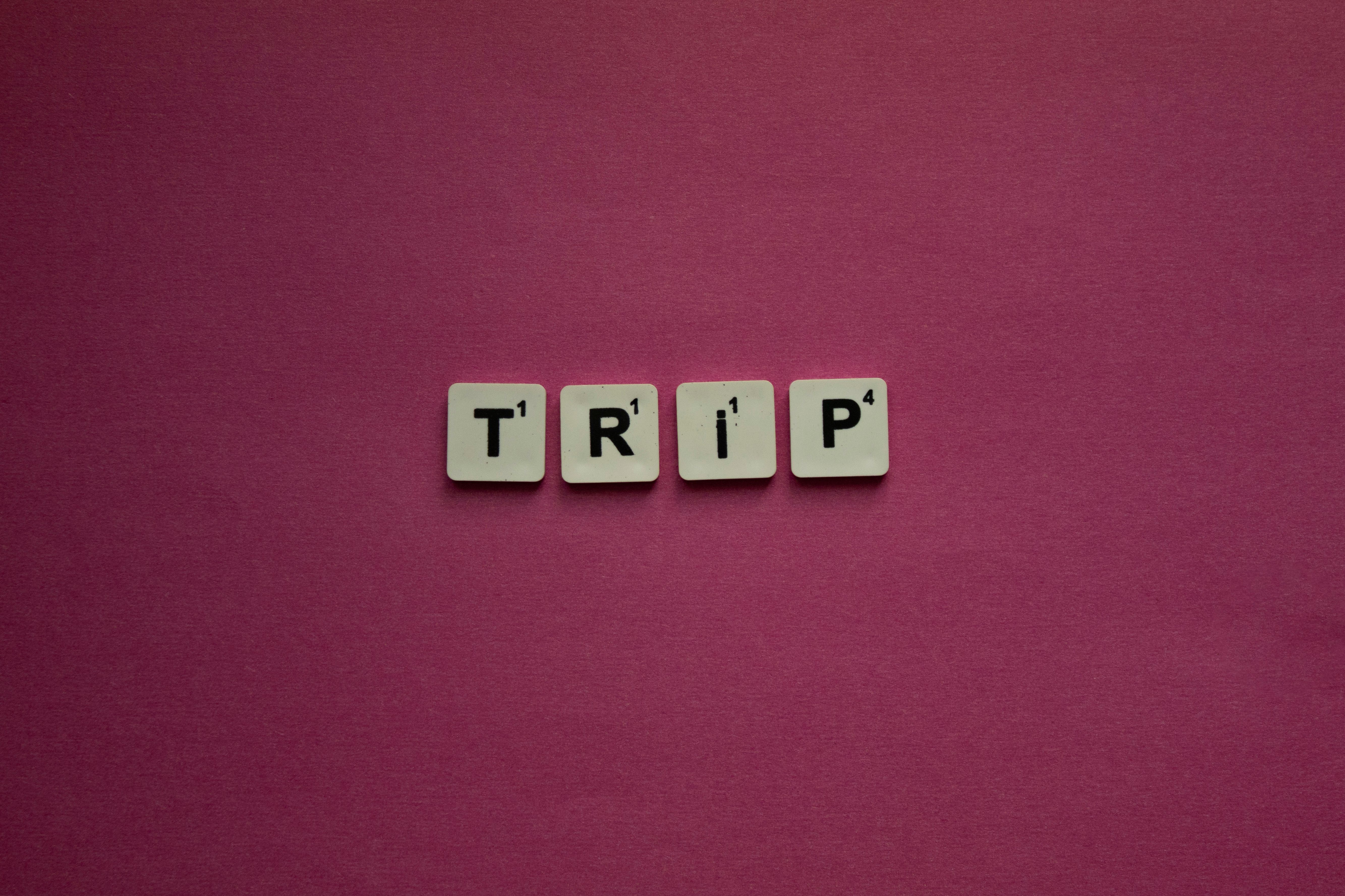 40 Tips and Resources for New Travel Agents — Photo by İdil  Çelikler on Pexels