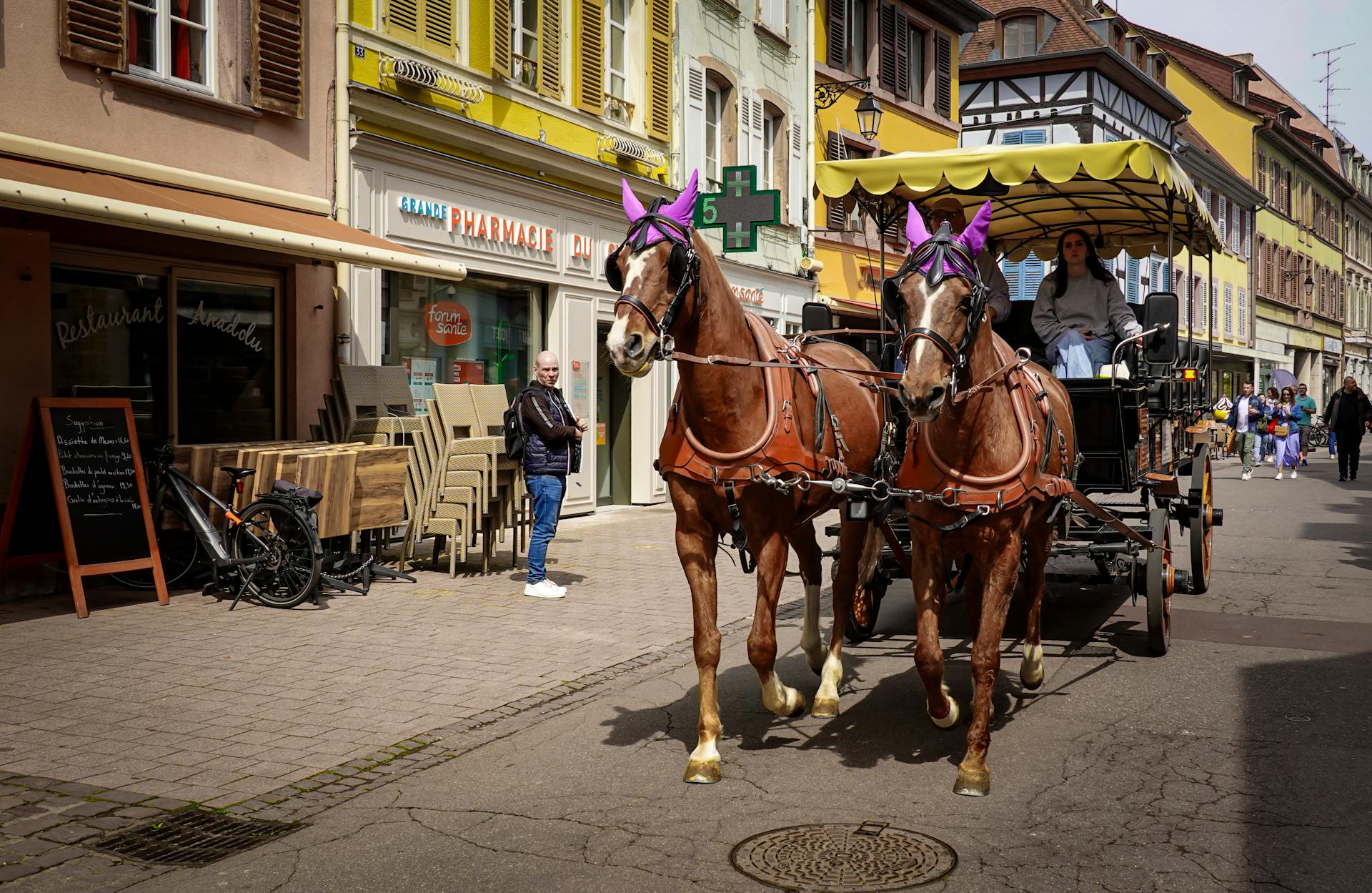 Free stock photo of horse carriage, horses, old town