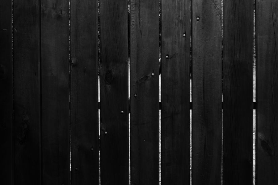 Cedar privacy fence in a Paris backyard