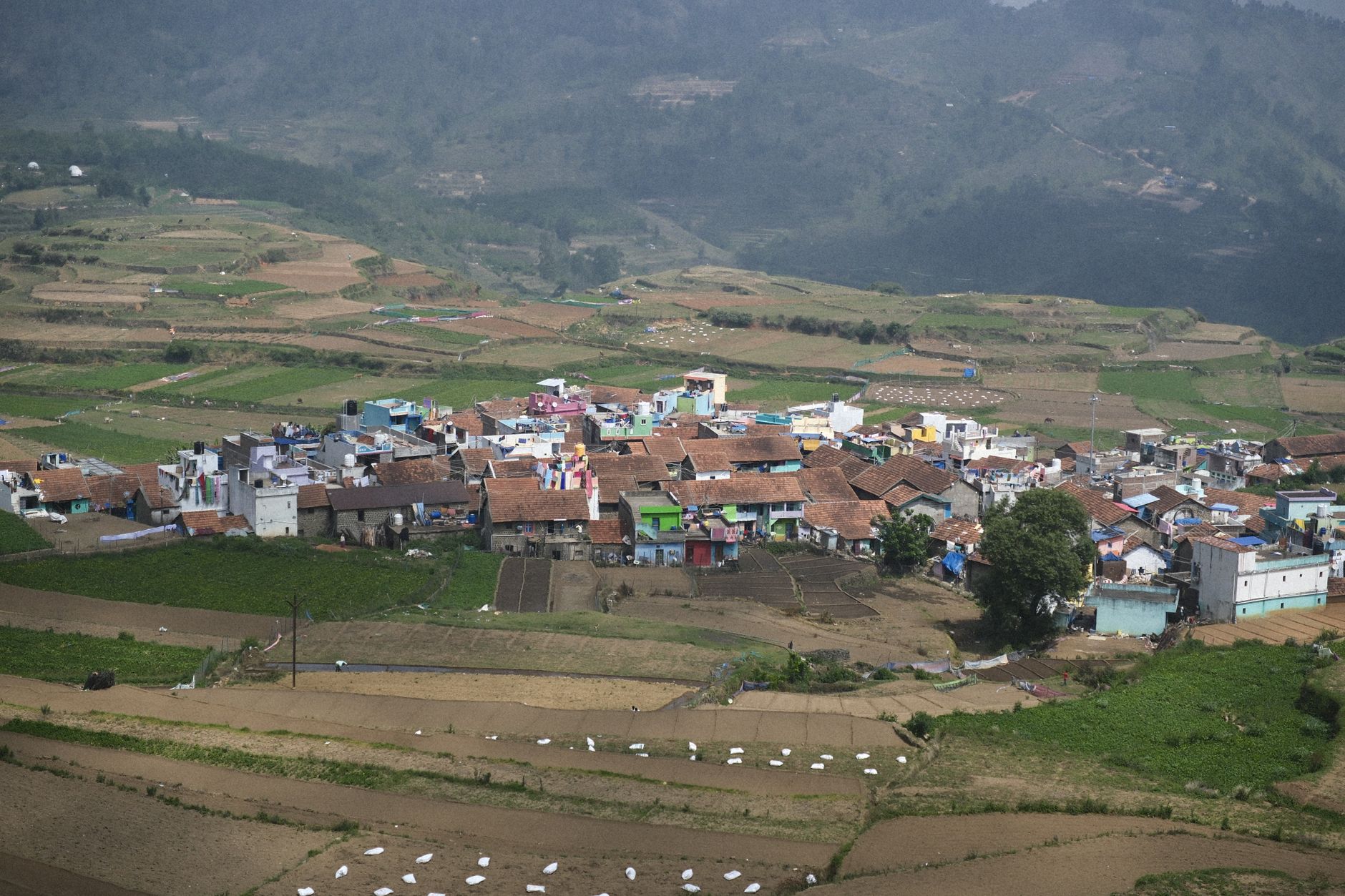 A picturesque aerial view of a village surrounded by lush farmland in Kodaikanal, India.