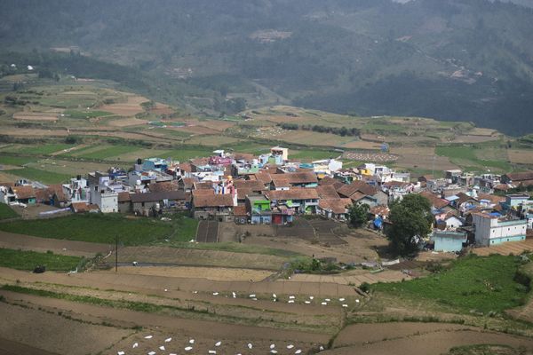 Transfer from Ooty to Kodaikanal