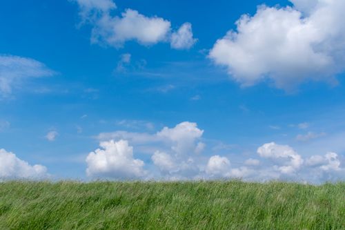 Free A scenic view of a lush green field under a clear blue sky with fluffy clouds, perfect for tranquil themes. Stock Photo