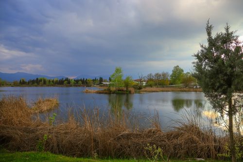 Free Peaceful lakeside view with lush trees reflecting on water under a cloudy sky, ideal for nature themes. Stock Photo