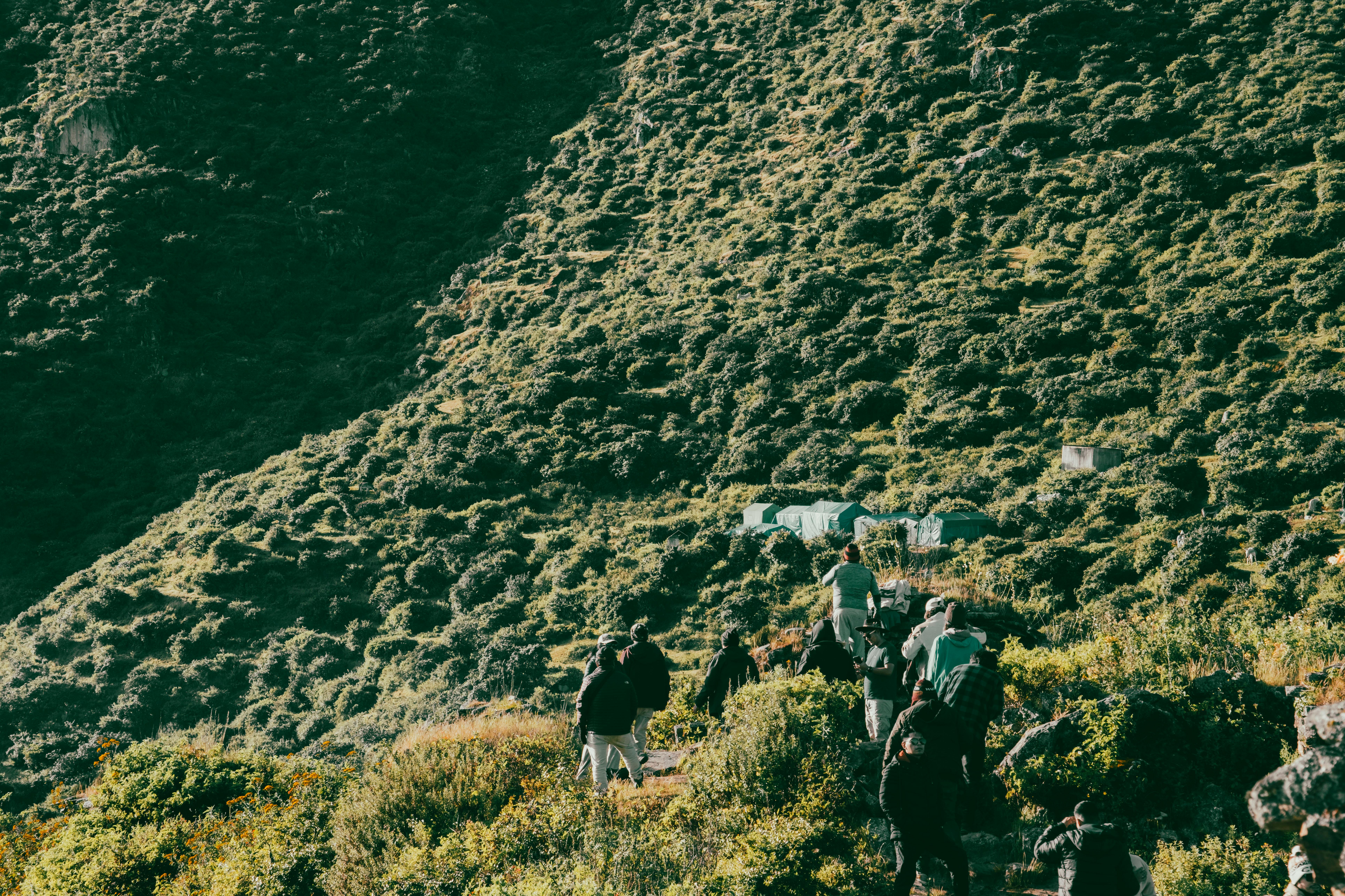 These 5 family travel base camps offer adventure and relaxation — Photo by Marcelo Mora on Pexels