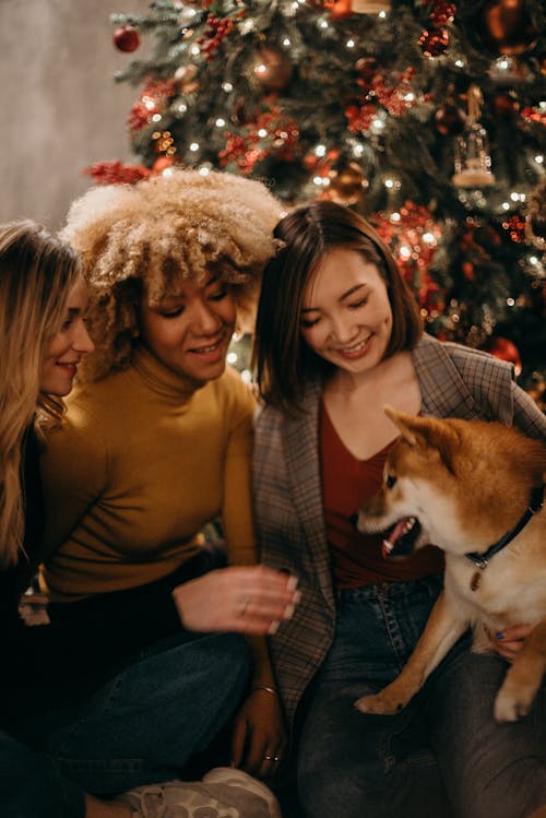 селективная фотография трех улыбающихся женщин, смотрящих на бело коричневую собаку