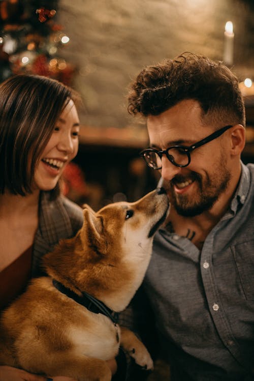 Fotobanka s bezplatnými fotkami na tému byť spolu, cicavec, láska