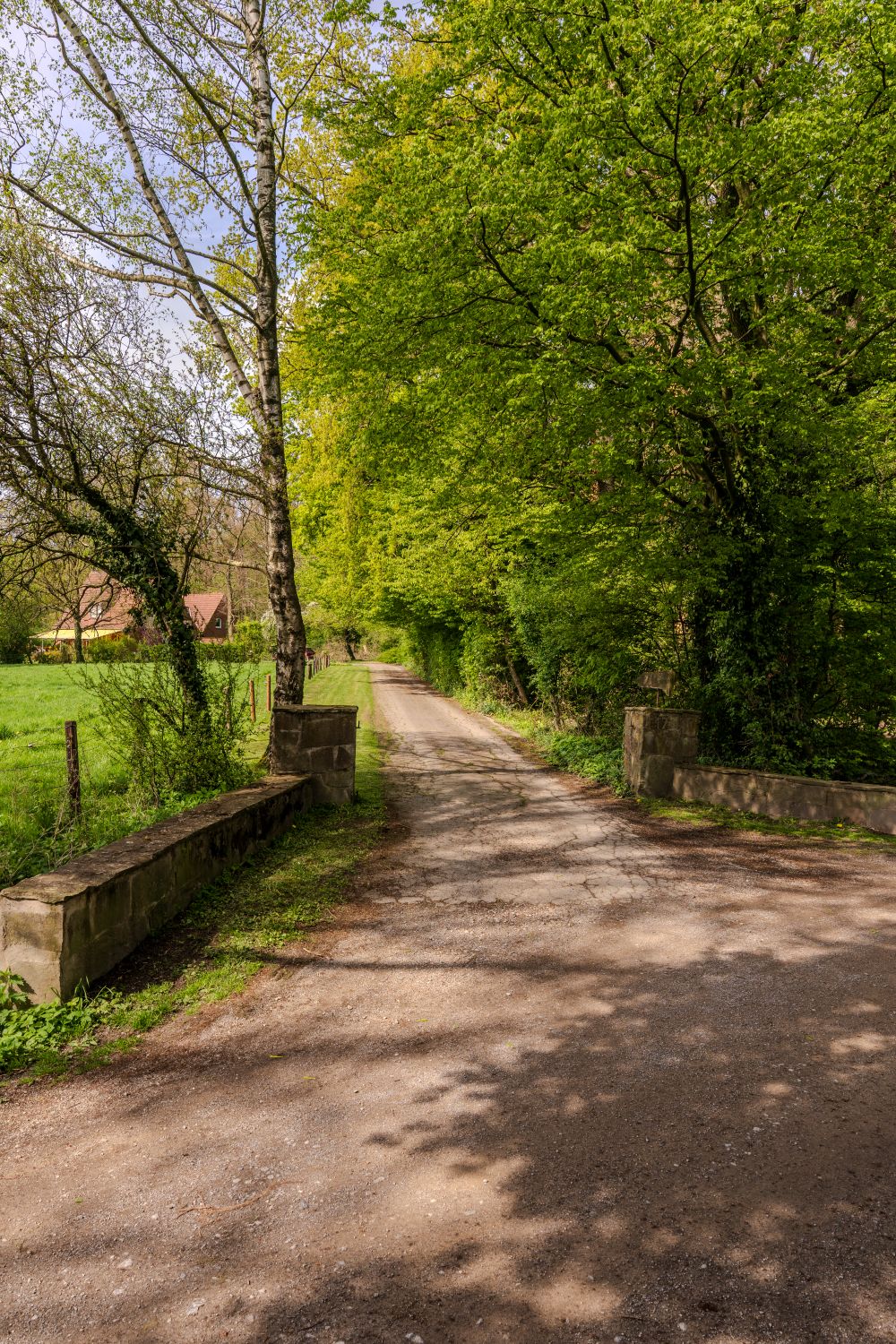 Peaceful Country Path in Lush Green Spring Landscape · Free Stock Photo