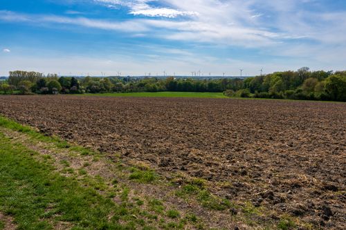 Free A vast plowed field under a blue sky with distant wind turbines along the horizon. Stock Photo