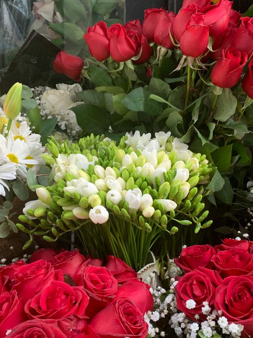 Free Colorful floral arrangement with red roses and white freesias. Stock Photo