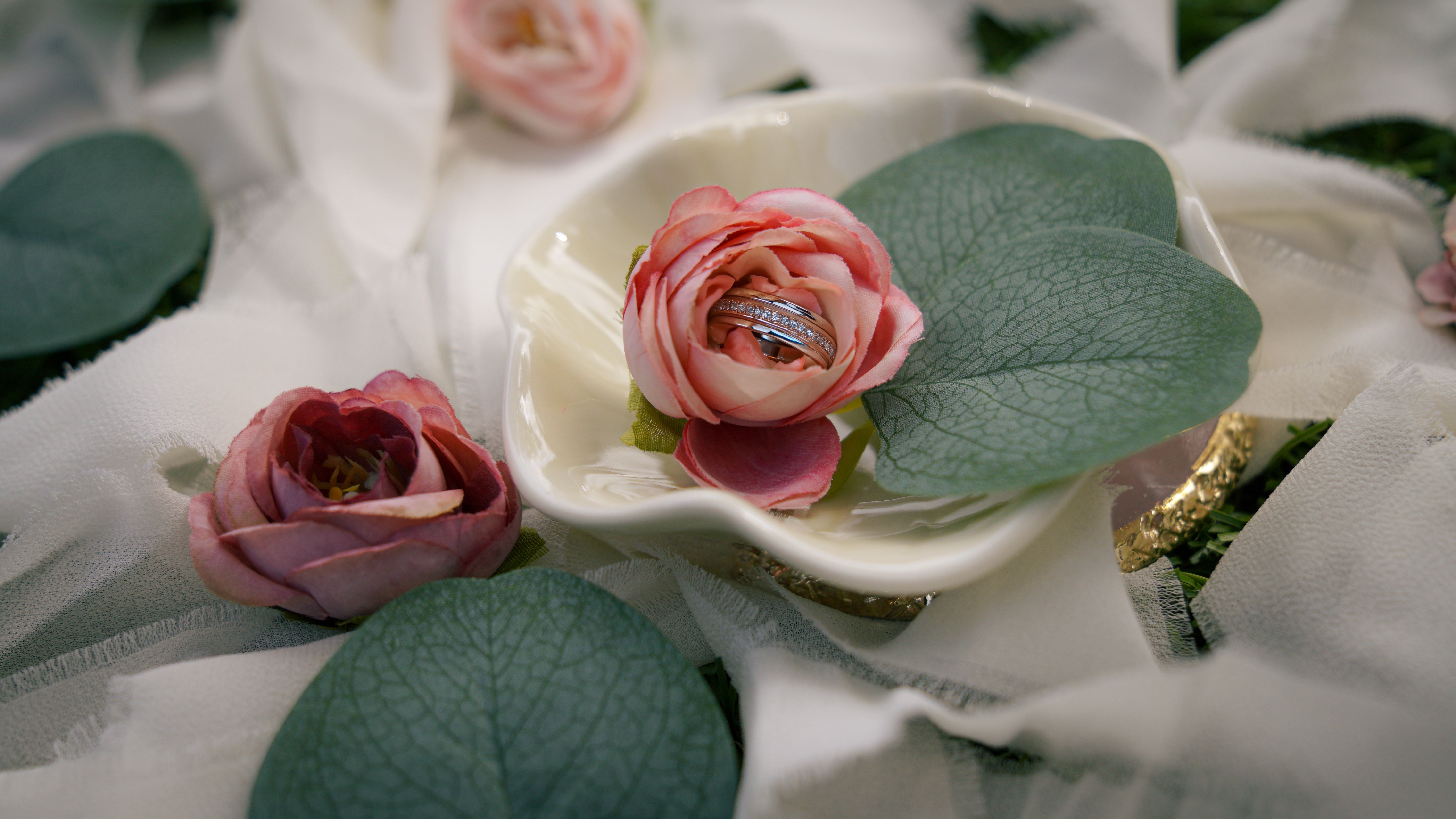 Romantic Wedding Rings on Pink Roses · Free Stock Photo