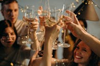 Selective Focus Photography of Several People Cheering Wine Glasses