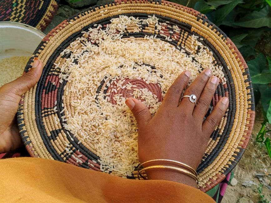 Dark-skinned Nigerian man pouring brown beans from a large sack onto a wide enamel tray to sort and inspect them in a Lagos open-air market stall, warm afternoon sunlight, photorealistic