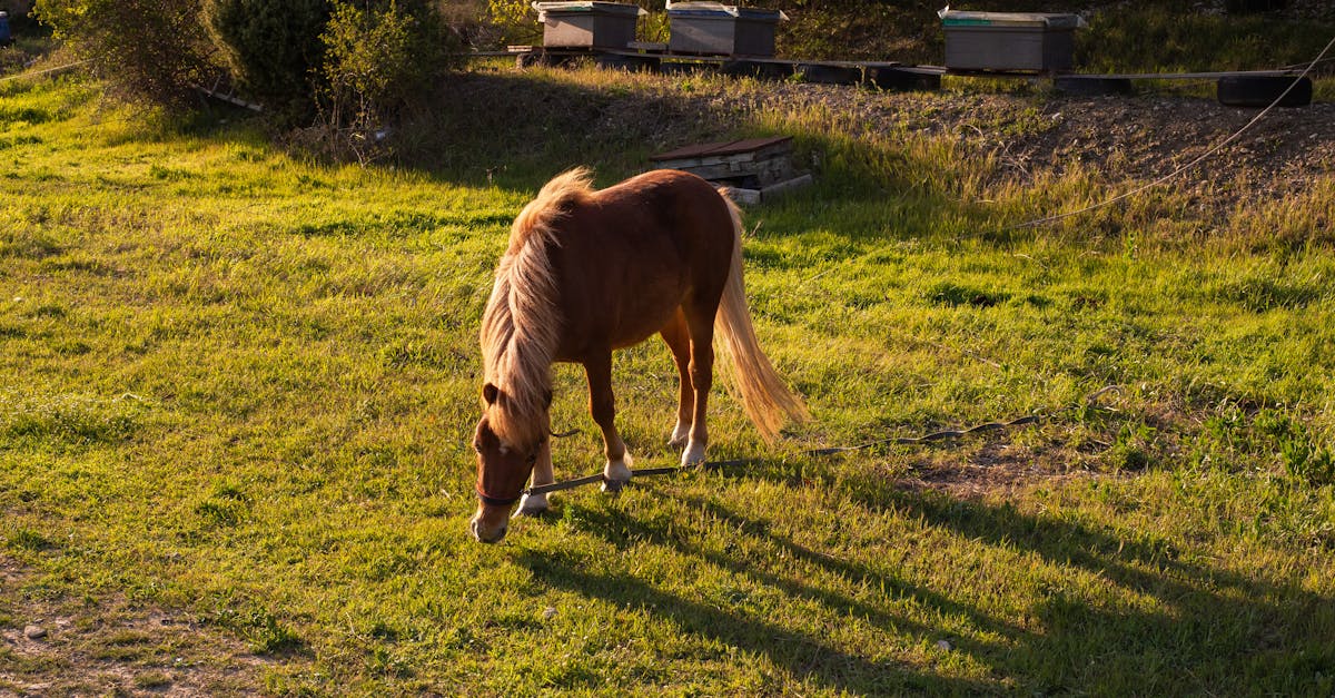 資訊快遞-全臺環保行動一次看,世界地球日、綠生活這樣參與最簡單
