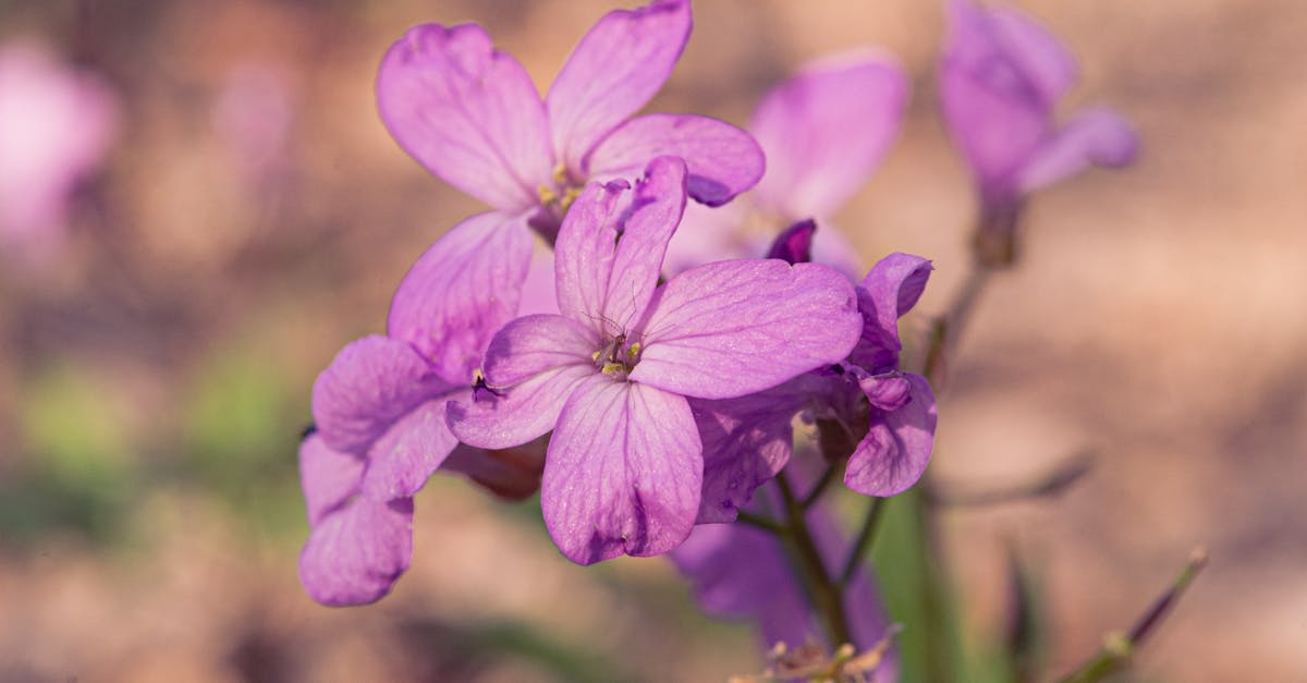 資訊快遞-全臺環保行動一次看,世界地球日、綠生活這樣參與最簡單