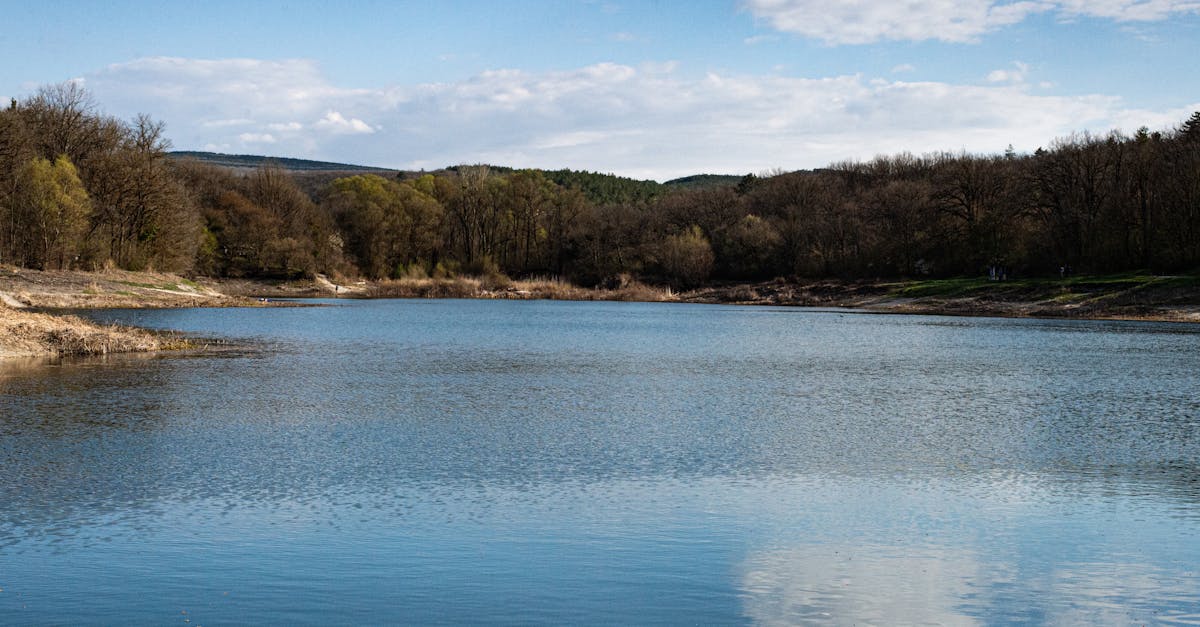 資訊快遞-全臺環保行動一次看,世界地球日、綠生活這樣參與最簡單