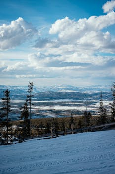 Remi: Animasi 'Nobody's Boy Remi' Siap Meluncurkan Blu-ray pada 11 Mei dengan Dukungan 3D - remi: 1