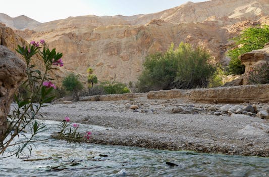 A serene scene in Karak, Jordan, depicting a canyon with flowing stream and vibrant desert flora.