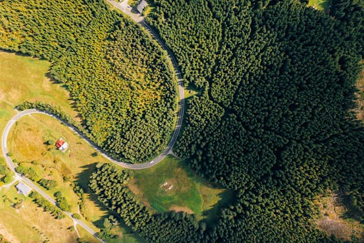 无人机在捷克马拉帕的茂密森林中拍摄了蜿蜒的道路