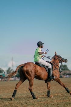 Photograph of a polo player riding a horse on a vibrant field during a match.
