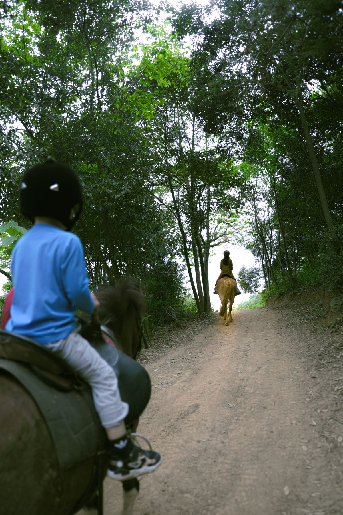 Horseback riding — A fall from a horse can quickly mean a fracture.