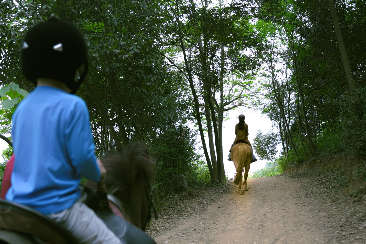 Ruta a caballo por Marbella