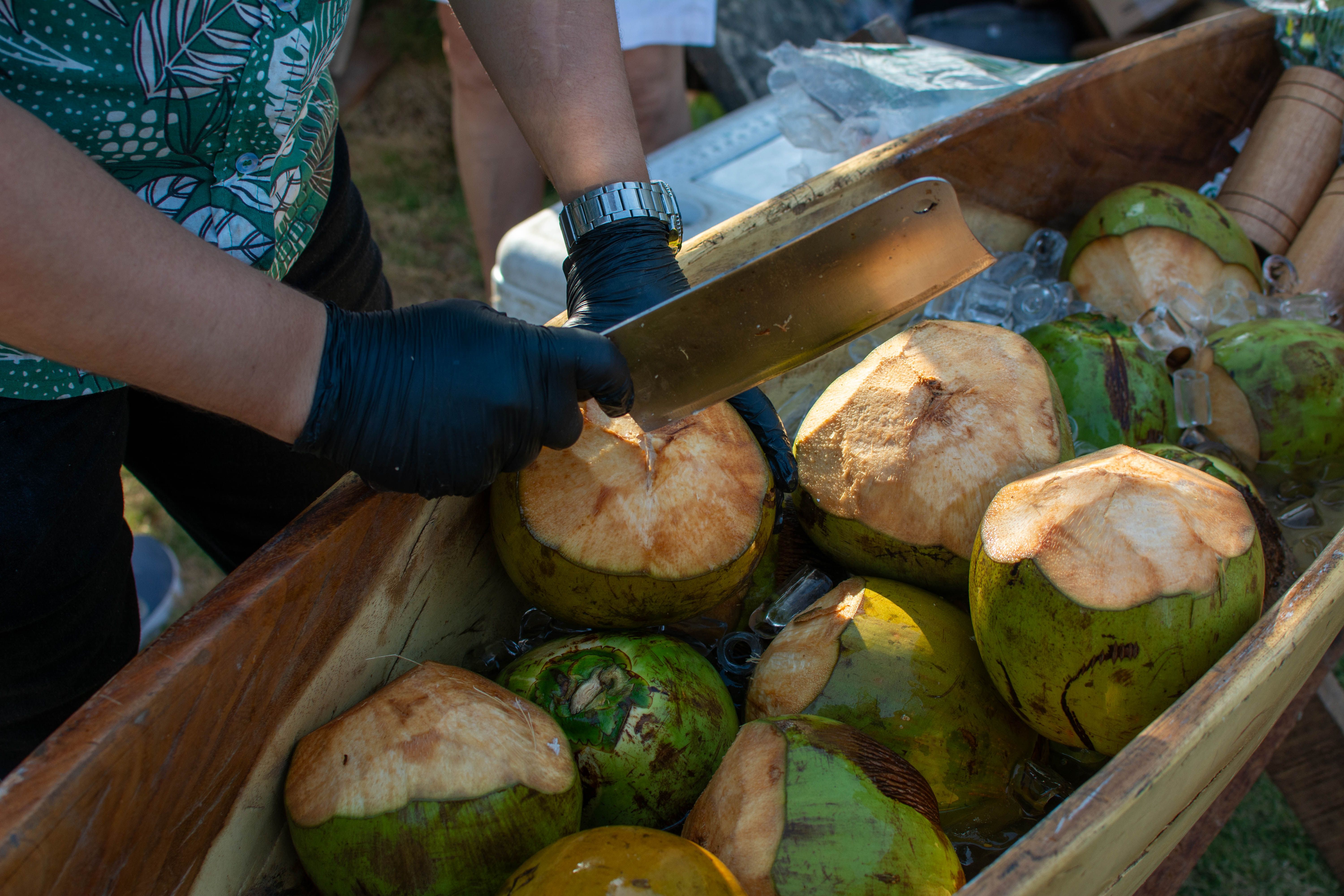 Three manual coconut scrapers showing different base mounting systems and blade designs
