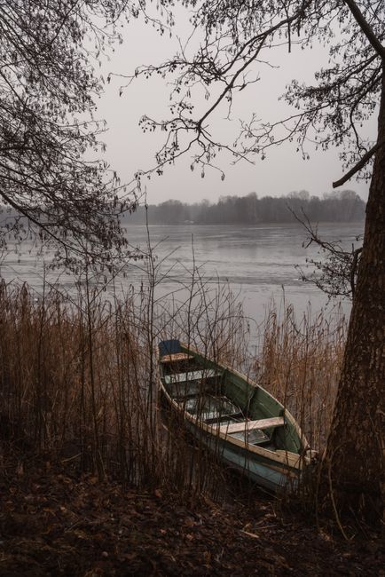 Serene winter scene with a boat by a lake surrounded by barren trees and mist.