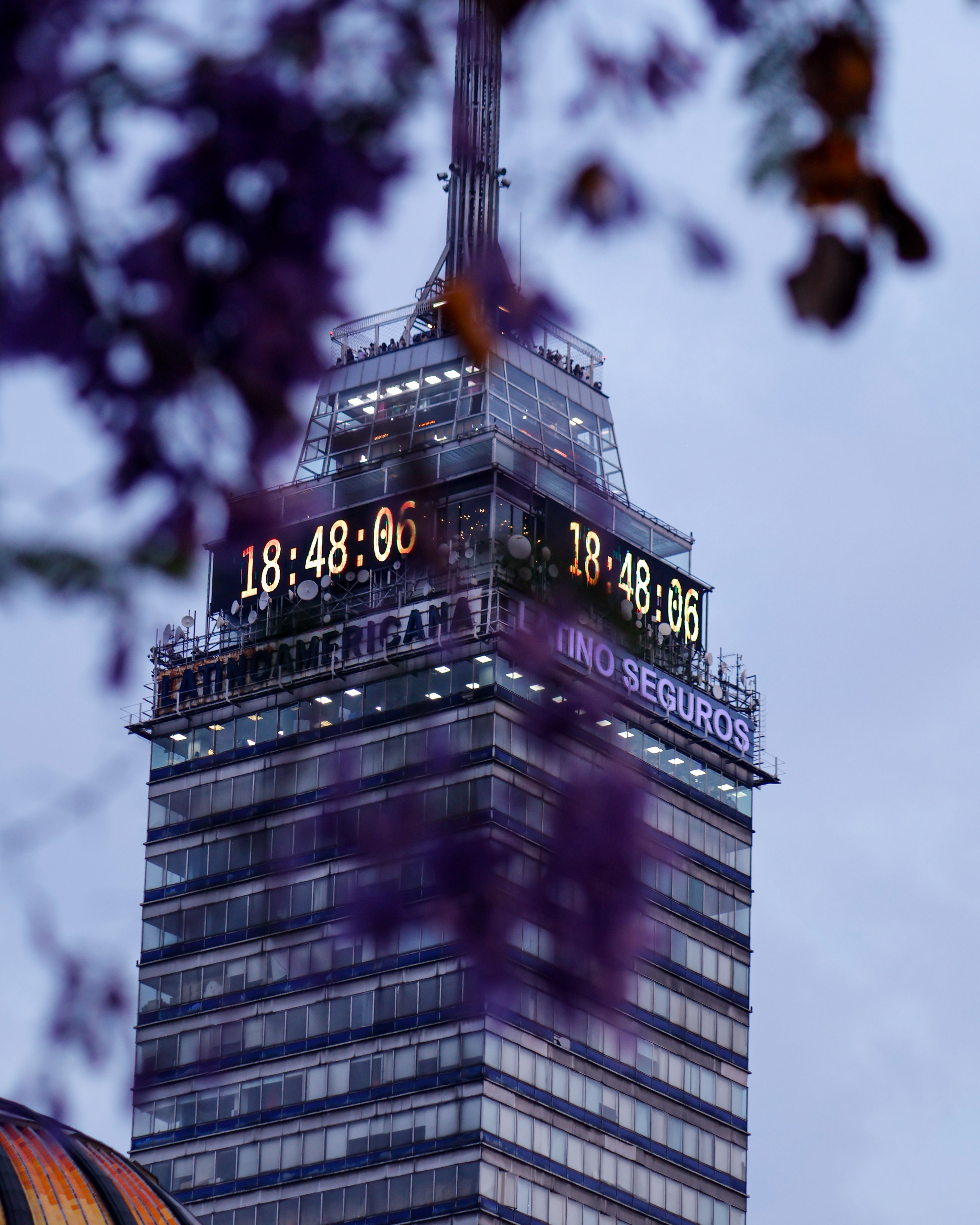 Scenic view of Torre Latinoamericana framed by purple flowers at dusk in Mexico City.