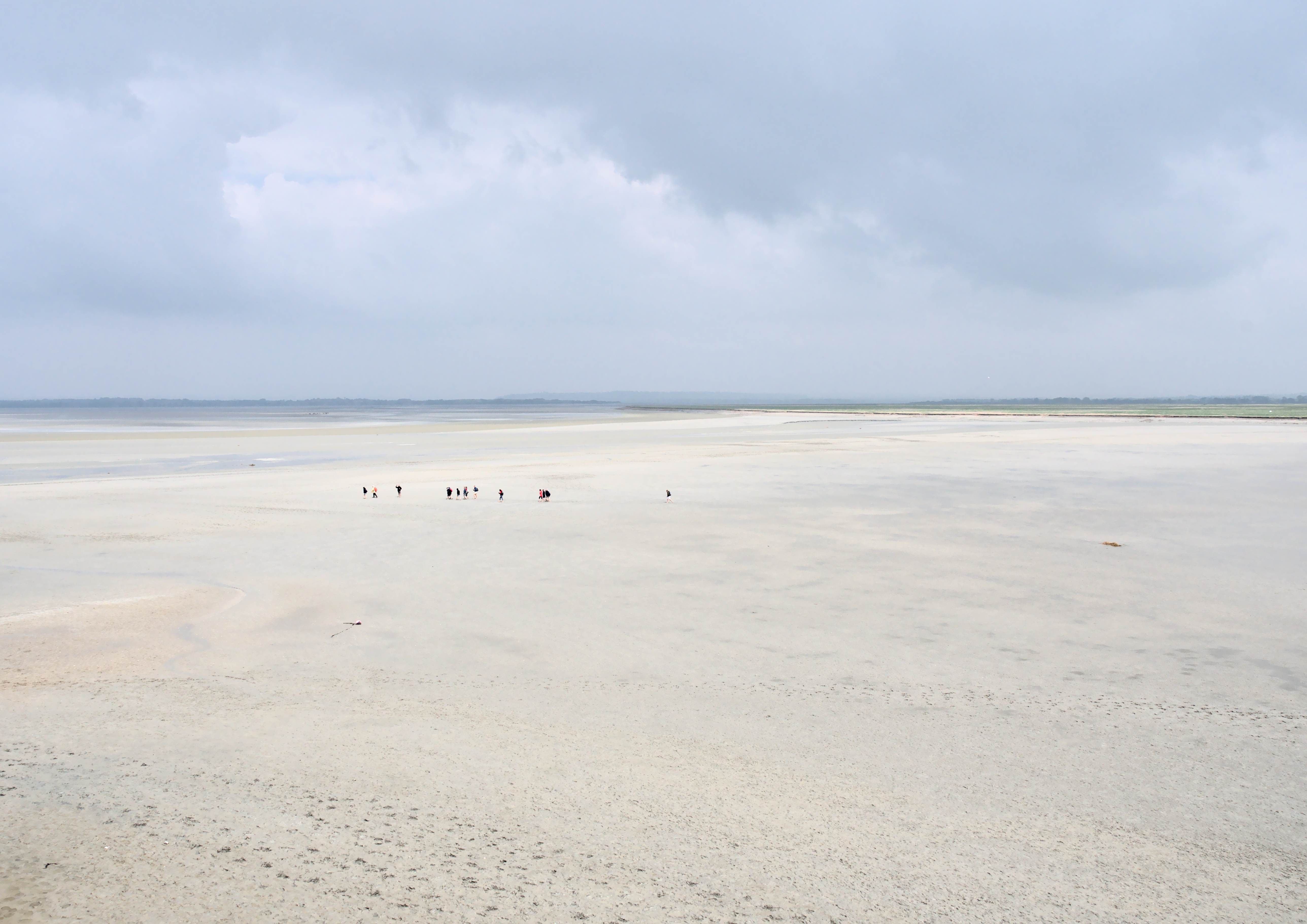 Salt Marsh Soil Survived 2-Meter Waves; Plants Did Less