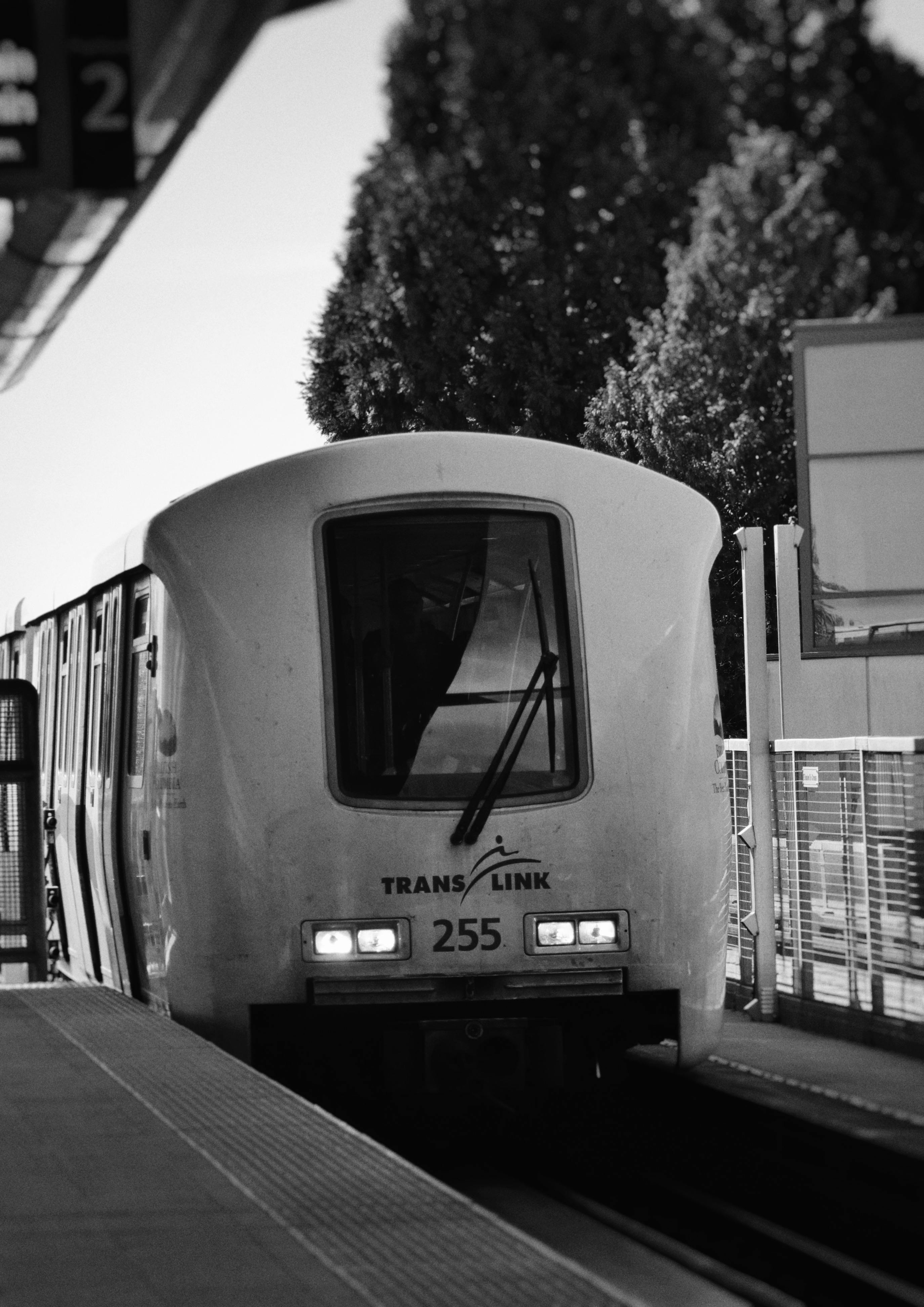 British+Mature+Ladies Photos, Download The BEST Free British+Mature+Ladies Stock Photos & HD Images