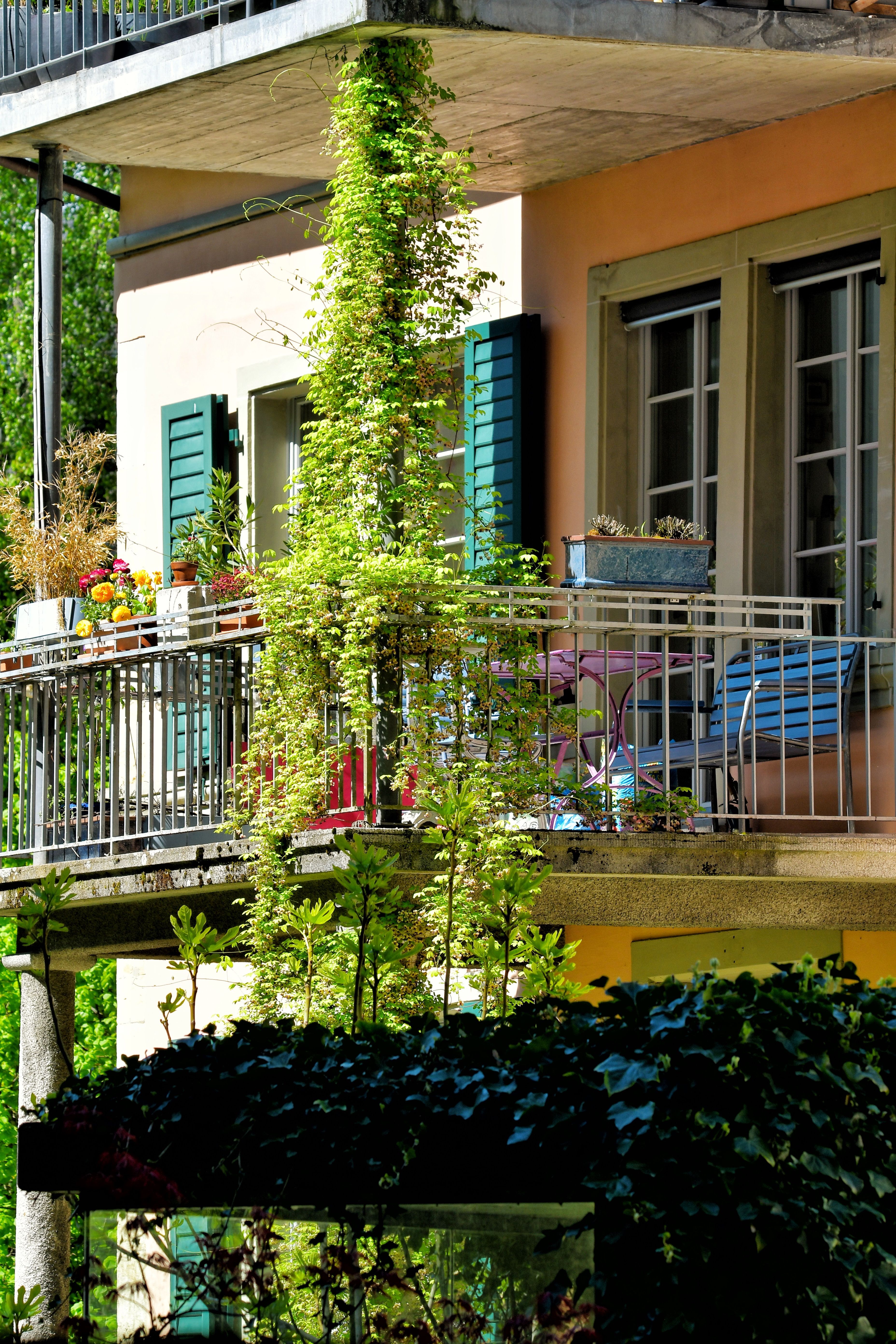 Free Sunlit balcony with lush plants and cozy decor, offering a relaxing outdoor space. Stock Photo