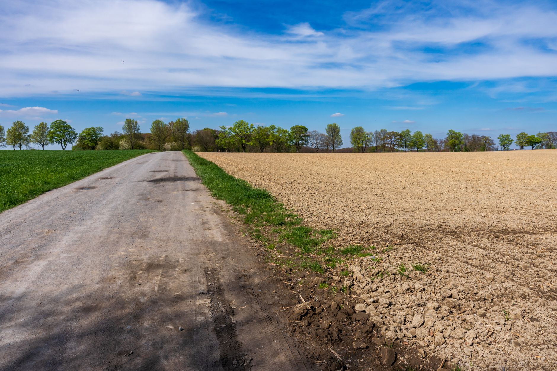 Dried soybeans field drought — Jornal Metro