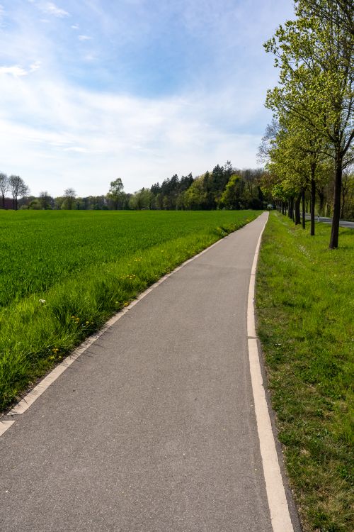 Free A picturesque cycling path running alongside a vibrant green field and tree-lined countryside road on a sunny spring day. Stock Photo