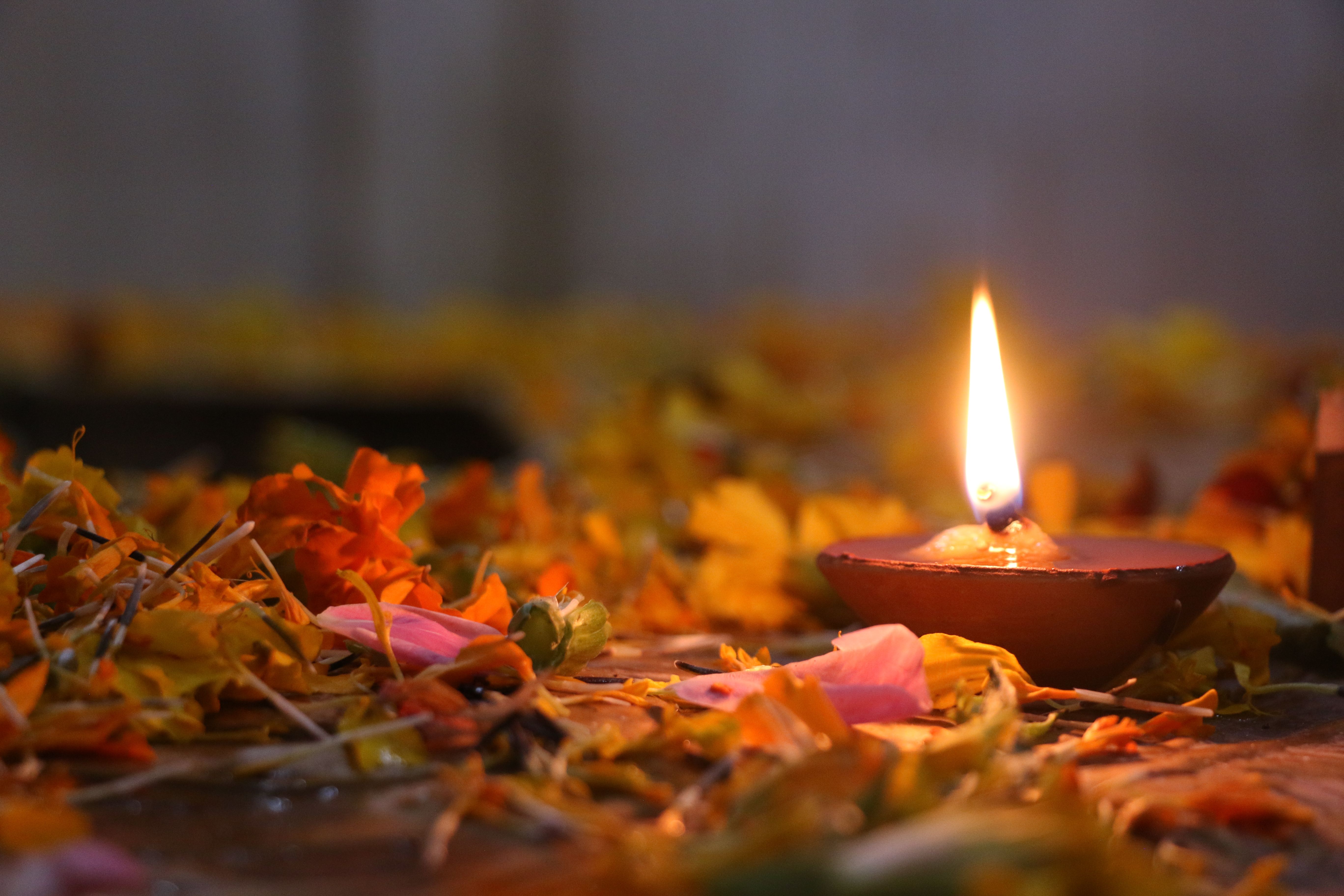 Warm Glow of Festive Oil Lamp Amidst Petals