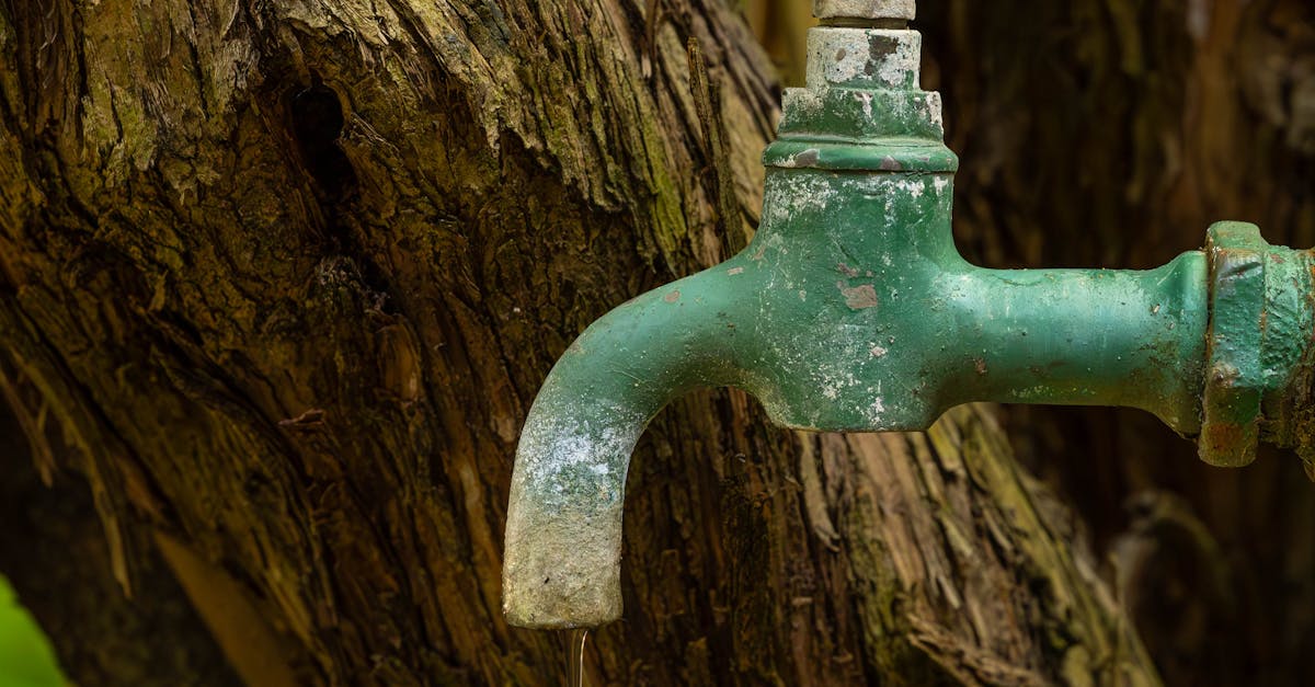 Global Mall地球日推「綠生活+1」行動 綠色好禮7折起、響應環保送購物金