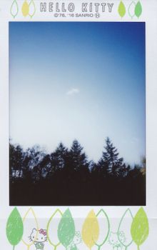 Vintage Polaroid showcasing trees silhouetted against a serene blue sky.