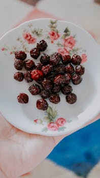 A hand holds a floral plate filled with dried cherries, showcasing a vibrant snack.