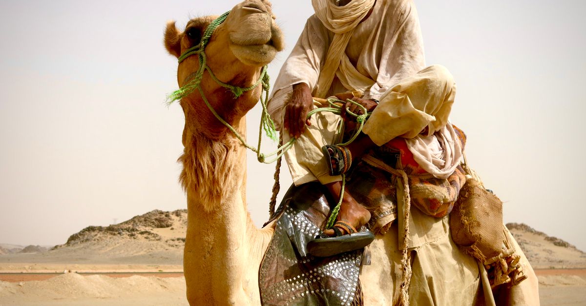 Photo of Sudan
