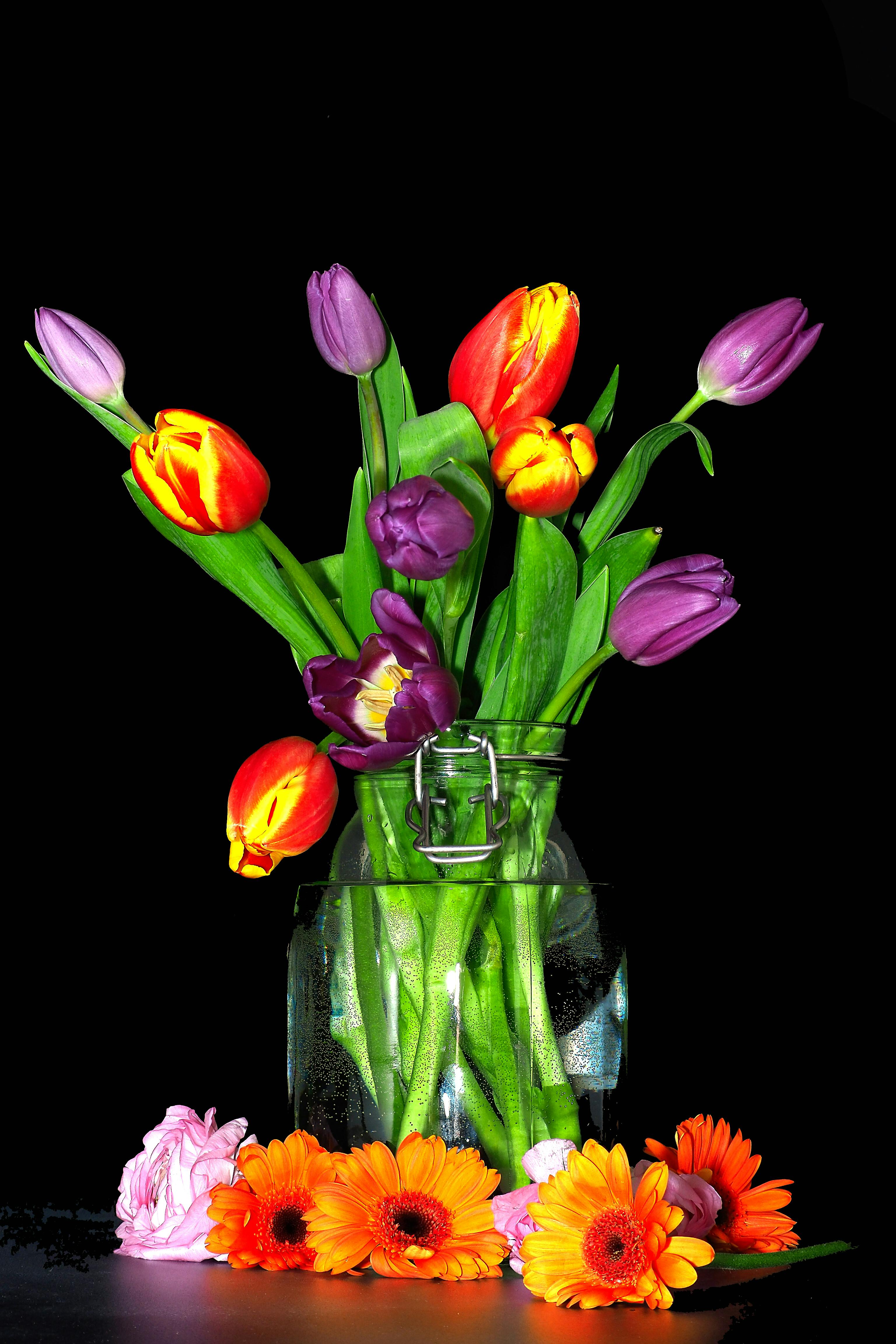 [ColoSach]-a-striking-floral-bouquet-of-tulips-and-gerberas-in-vibrant-colors-against-a-black-background.