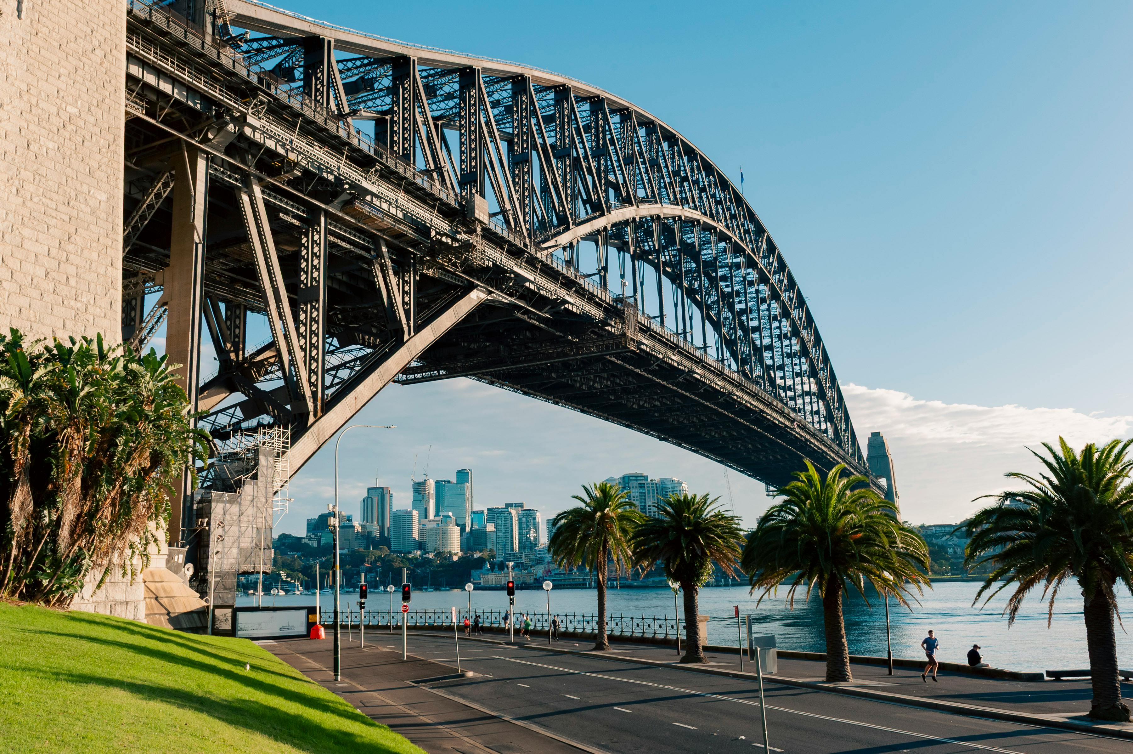 Sydney Harbour Bridge on a sunny day with palm trees and waterfront