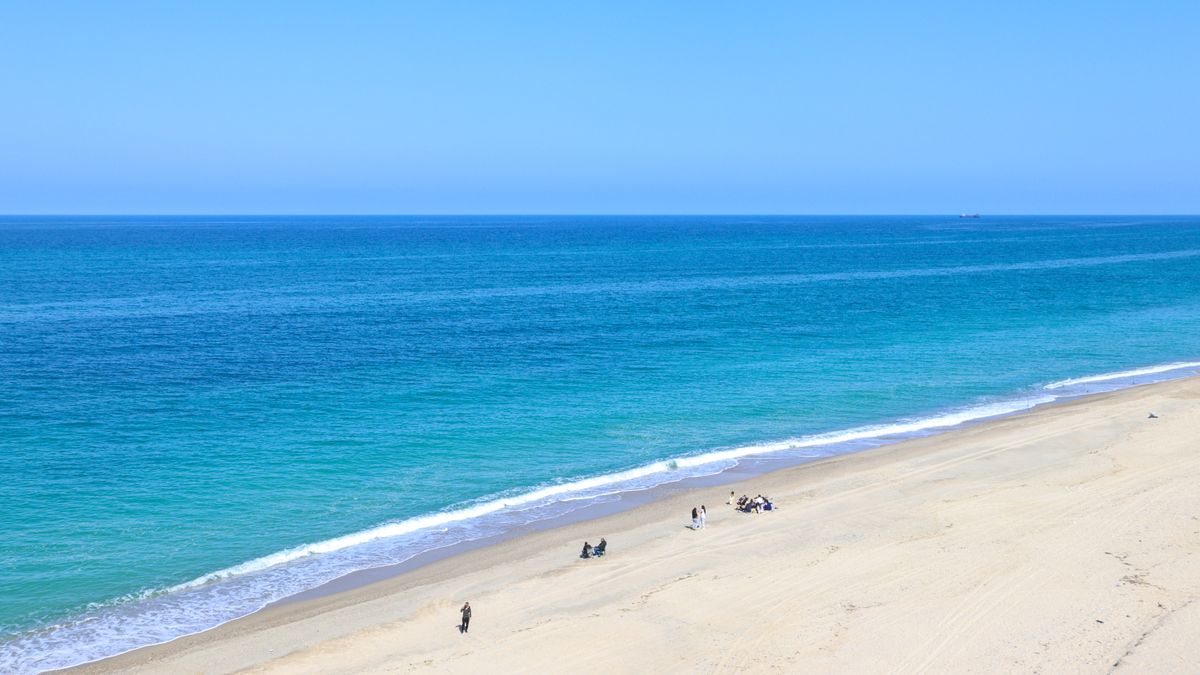 Virginia Beach, VA Cash Prize Sweepstakes Near Me: Where to Find Legit Deals