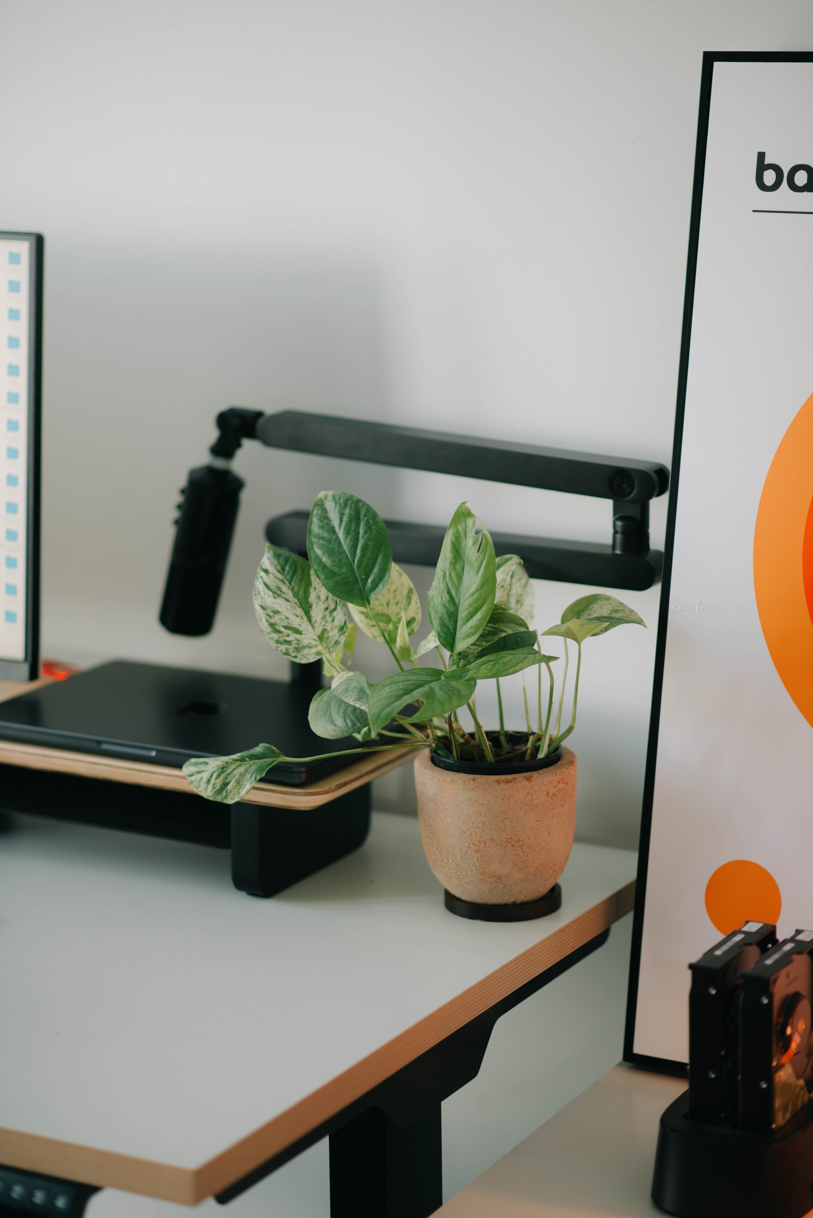 Modern Office Workspace with Plant and Tech Equipment · Free Stock Photo