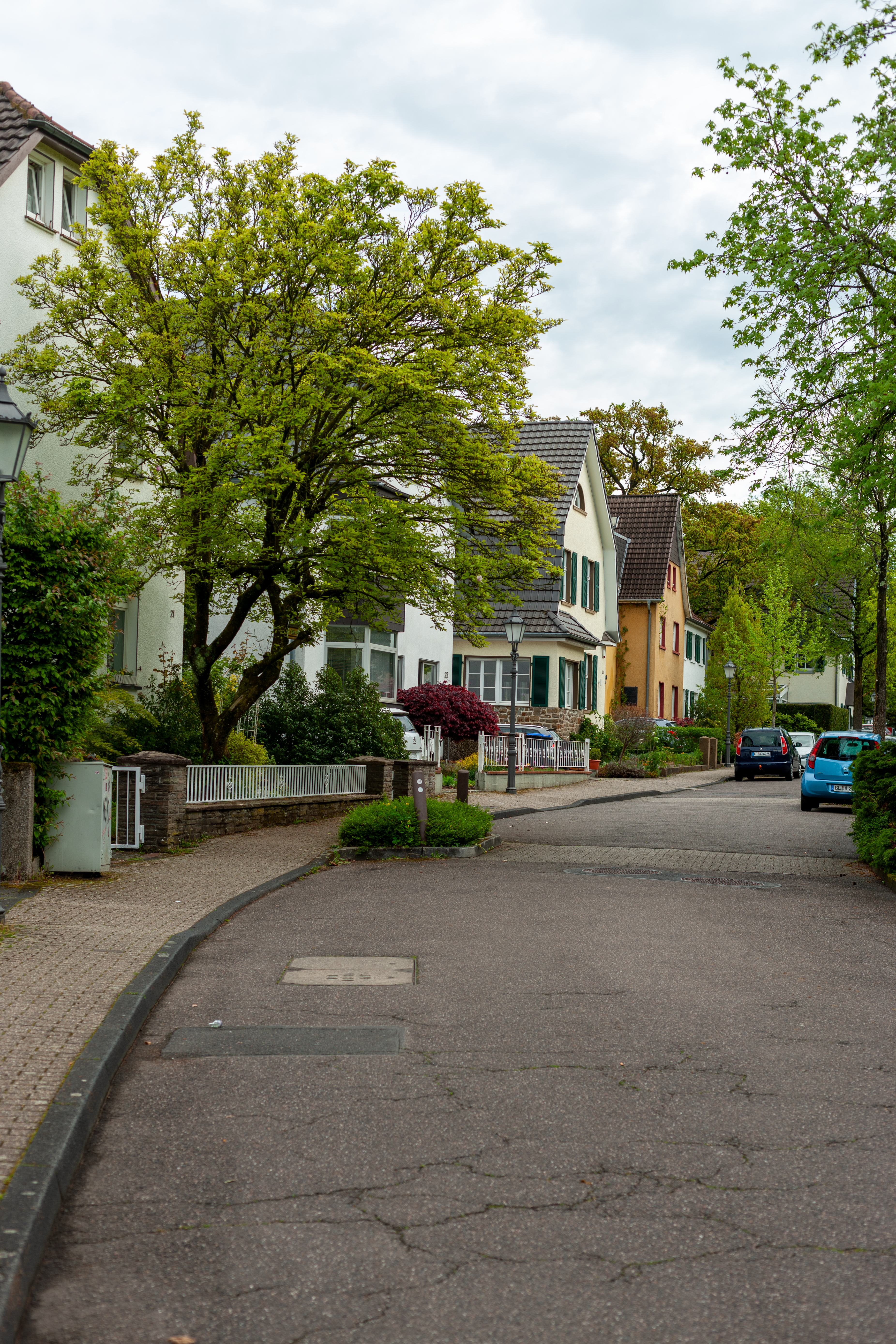 Suburban street lined with houses and trees