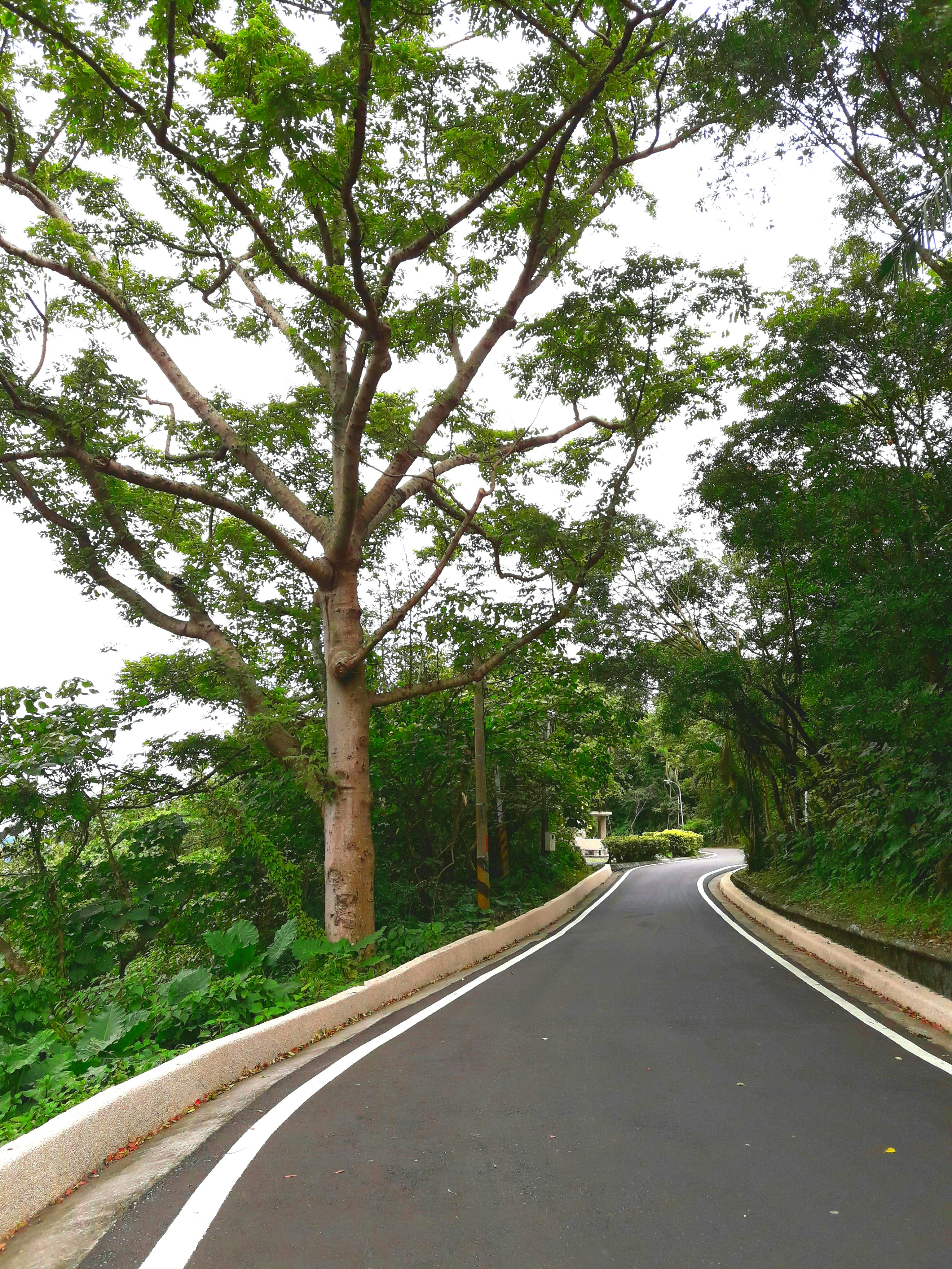 小媛+绑在公厕 Photos, Download The BEST Free 小媛+绑在公厕 Stock Photos & HD Images