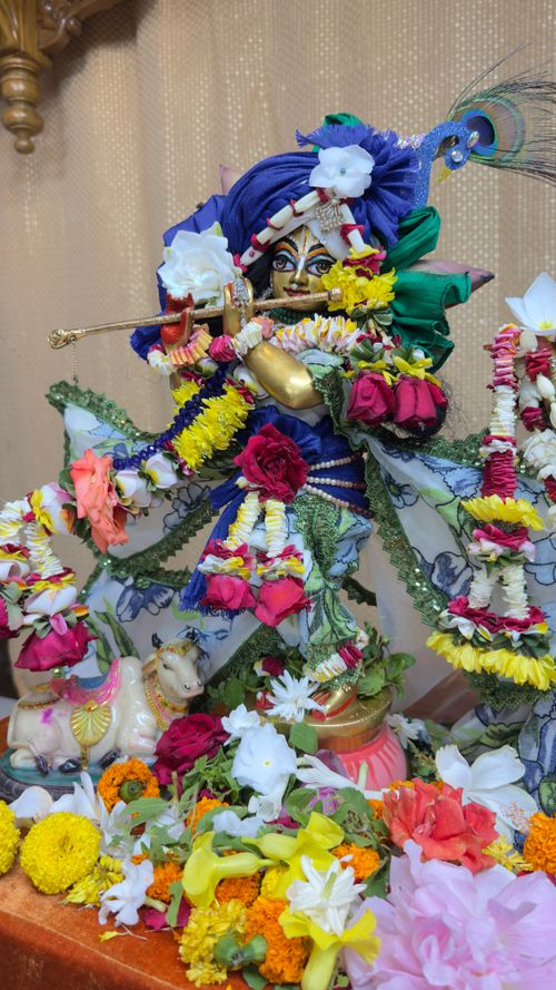 Free A beautifully adorned Krishna statue with vibrant flower garlands and traditional attire. Stock Photo